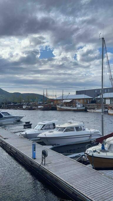 City Center Stylish Loft Trondheim Exteriör bild